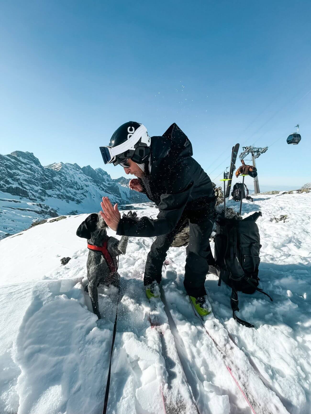 Skier and dog high fiving on the mountain.