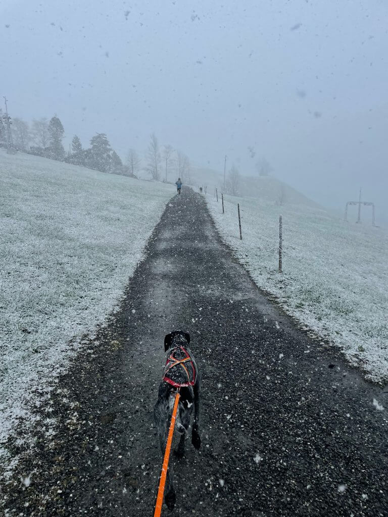 Engelberg Snow Report – April 17 2023