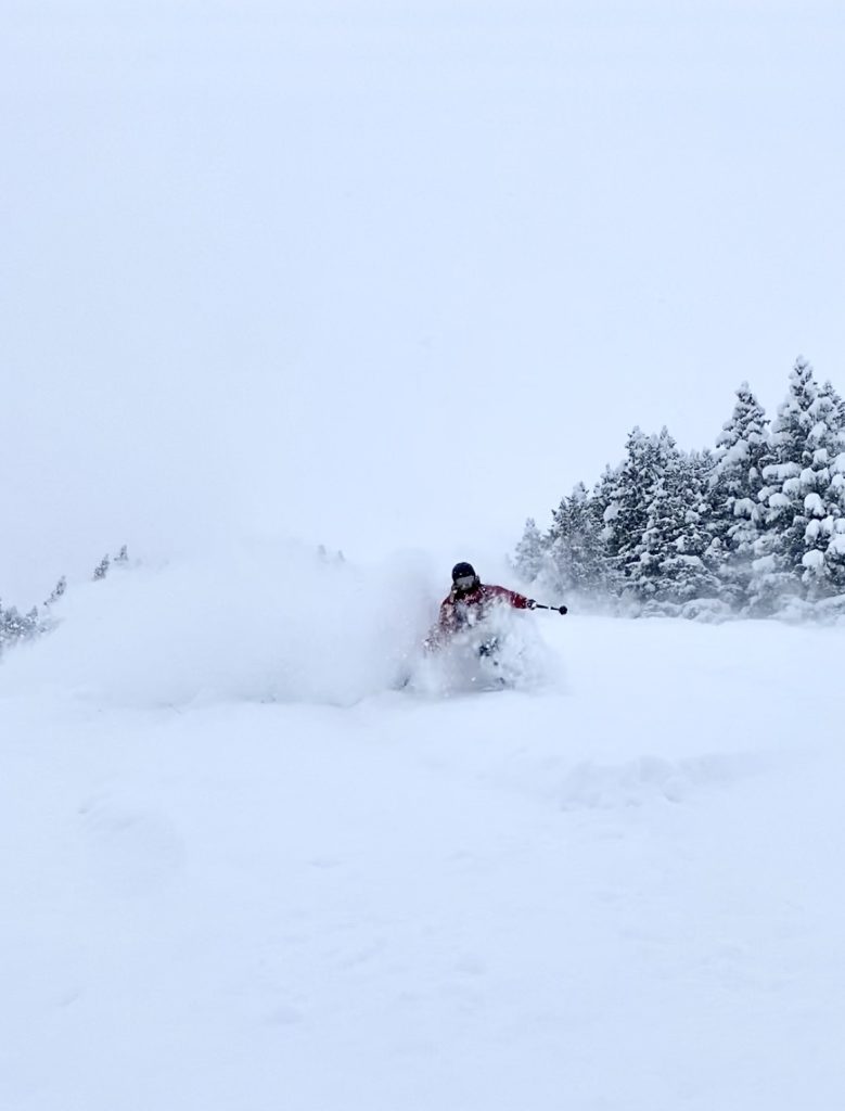 powder ski turn on sunday in engelberg.