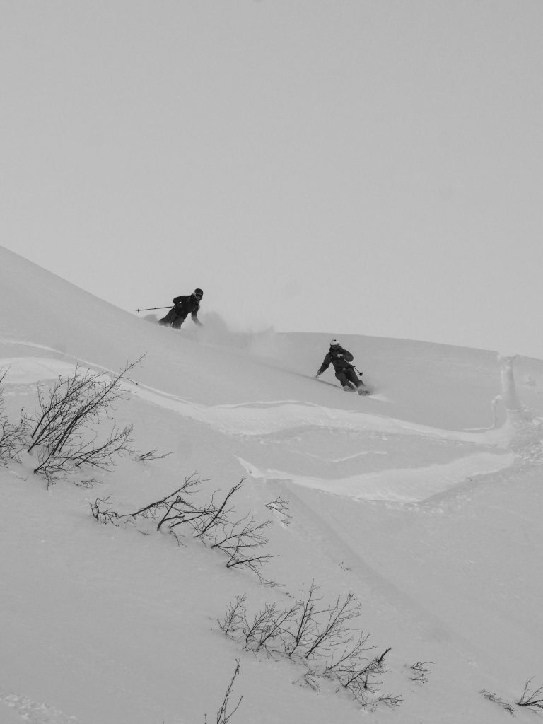 Two skiers making turns in the powder.