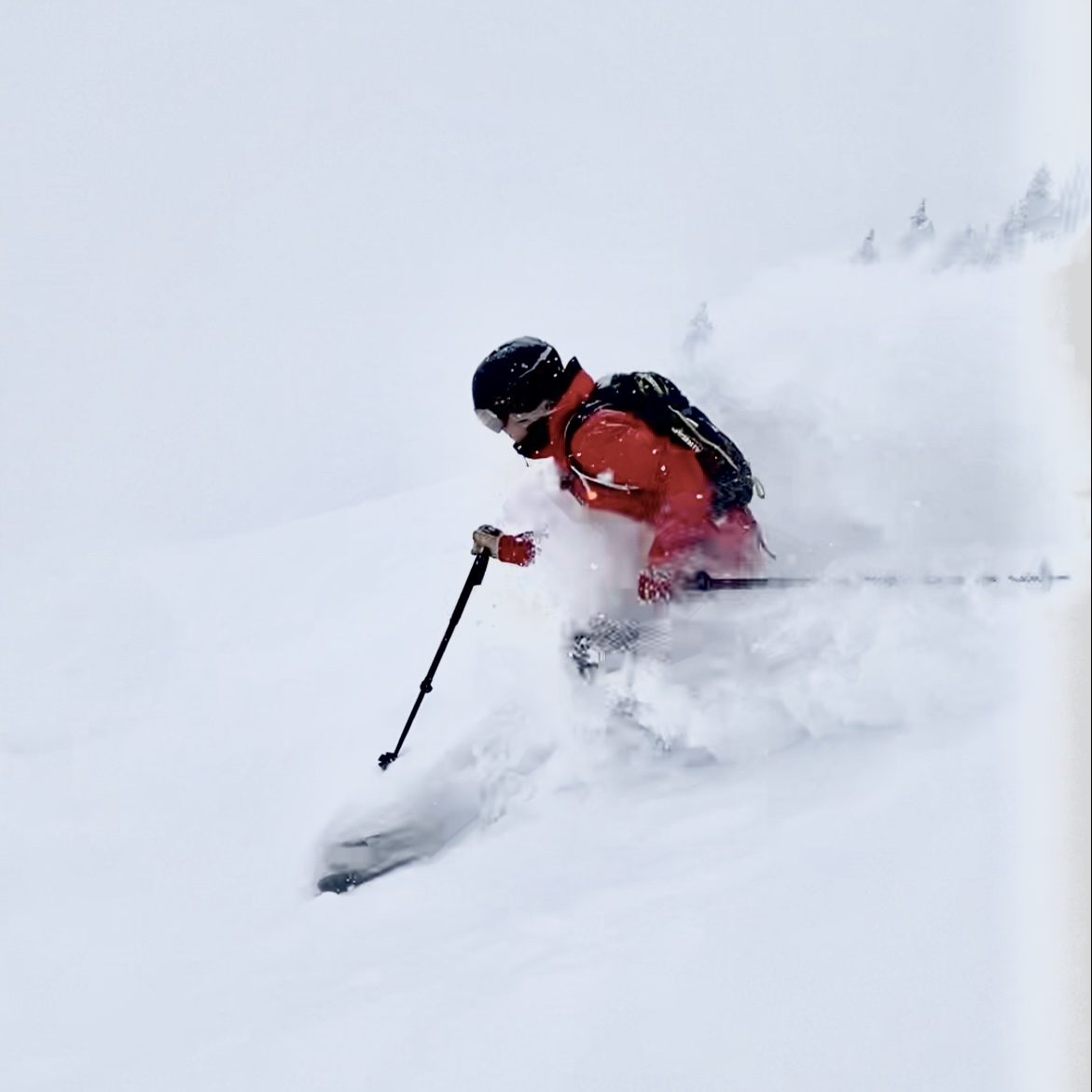 powder skiing in engelberg, skier sanne mona.