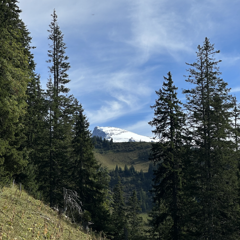 Titlis in the distance on the way back on the Walenpfad trail, Engelberg