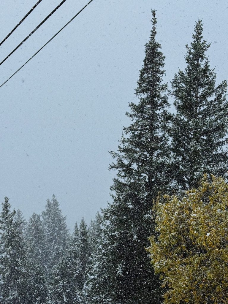 Big snowflakes on brunni in October