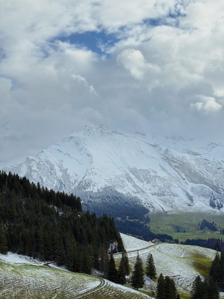 Laub covered all the way in white!