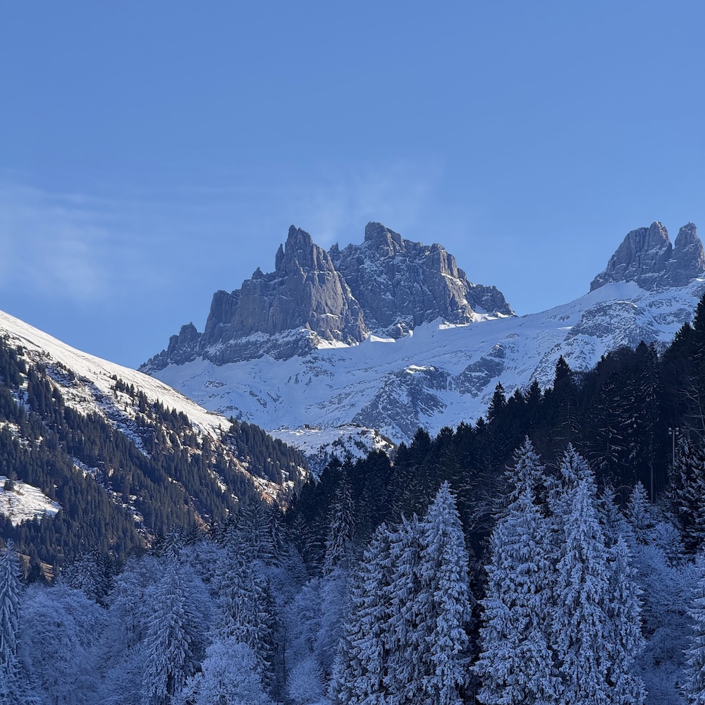 Frosty Trees in Engelberg Ski Lodge Engelberg