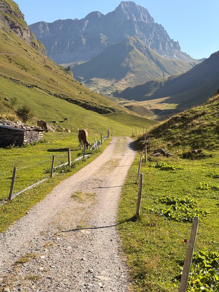 the mountainbiking road towards surenenpass. Stunning views